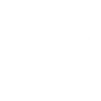 Lightbulb Icon